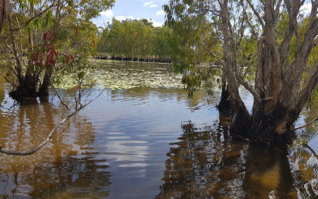 924 Koah Road, Koah, QLD 4881