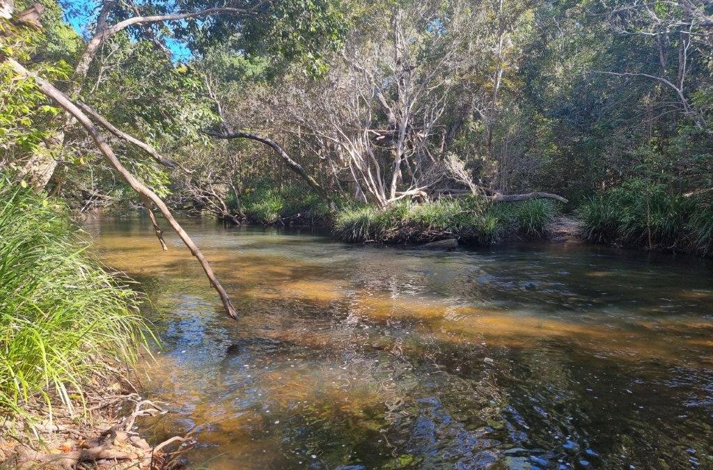 ALL THIS & HEAVEN TOO!